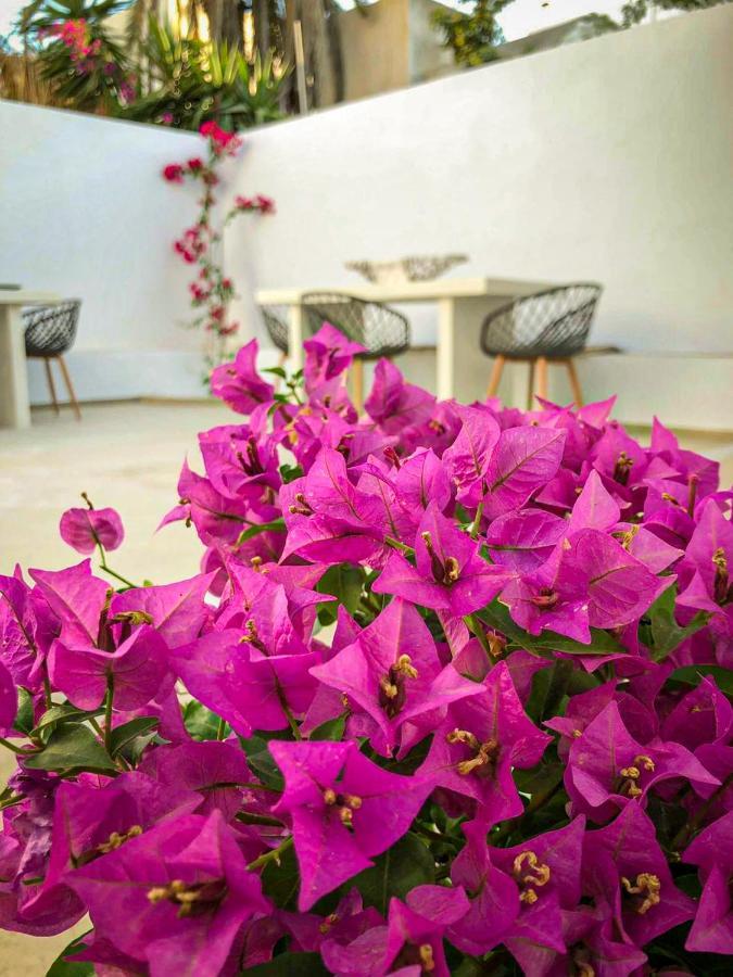 DS Traditional Villas Santorini Island Karterados  Exterior foto